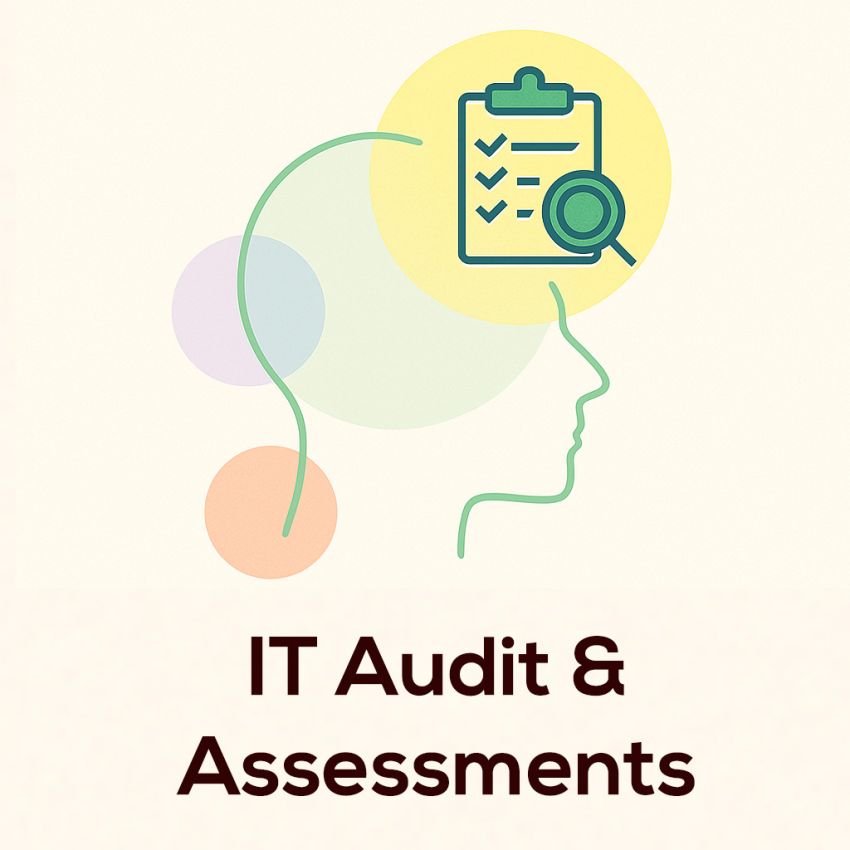 IT Audits & Assessments