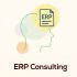 Enterprise Resource Planning
